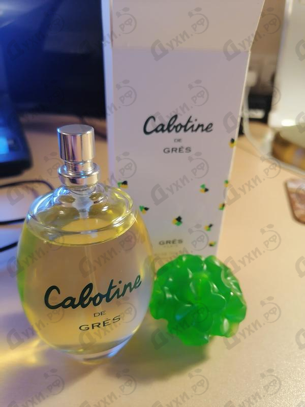 Купить Gres Cabotine