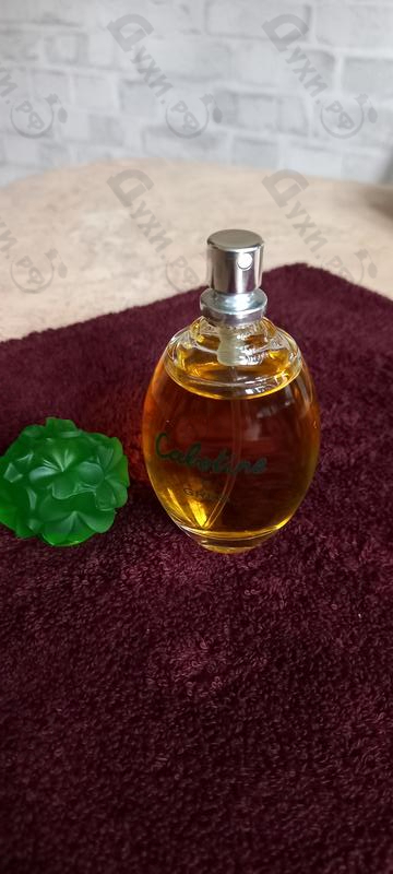 Купить Cabotine от Gres