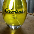 Отзывы Gres Cabotine