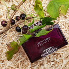 Отзыв Judith Leiber Amethyst