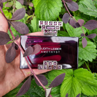 Парфюм Judith Leiber Amethyst