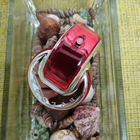 Отзывы Bvlgari Omnia Coral