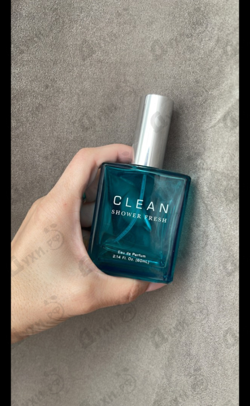 Купить Shower Fresh от Clean