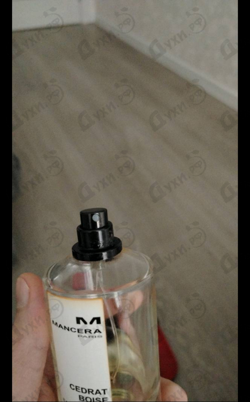 Купить Cedrat Boise от Mancera