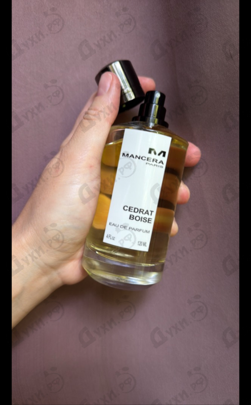 Духи Cedrat Boise от Mancera