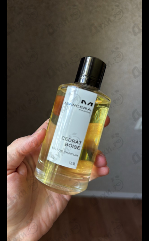 Купить Cedrat Boise от Mancera