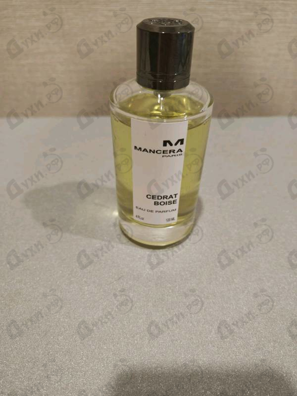 Купить Mancera Cedrat Boise