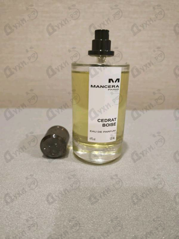 Купить Cedrat Boise от Mancera