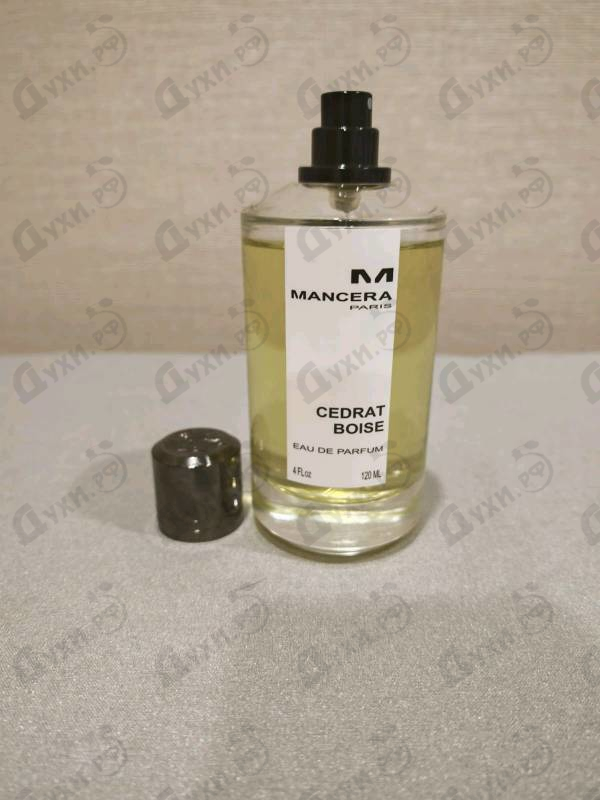 Купить Mancera Cedrat Boise