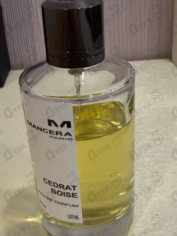 Купить Cedrat Boise от Mancera