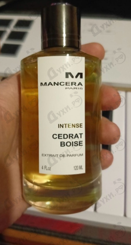 Купить Cedrat Boise от Mancera