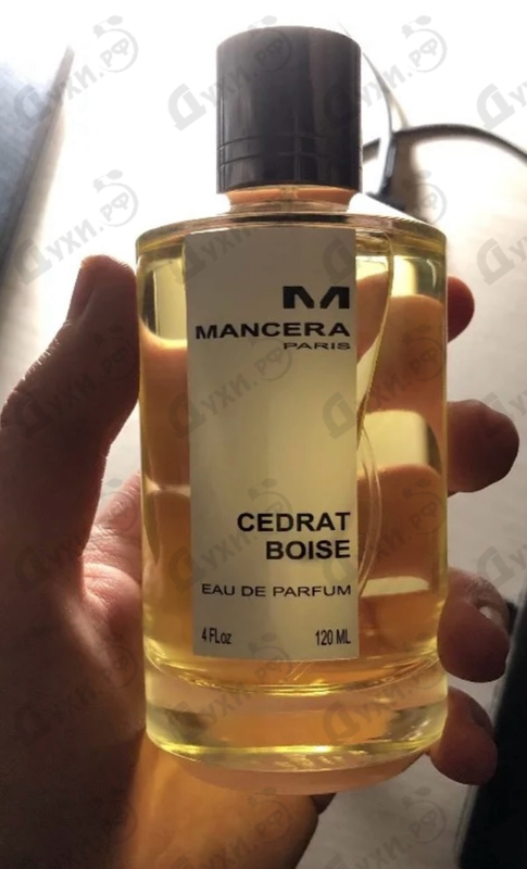 Купить Cedrat Boise от Mancera