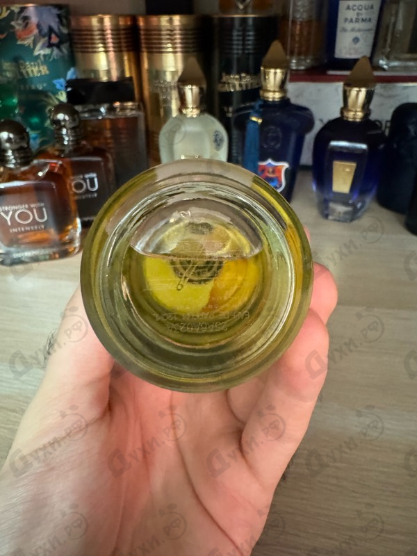 Духи Cedrat Boise от Mancera