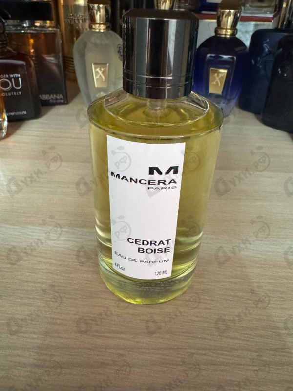 Отзыв Mancera Cedrat Boise