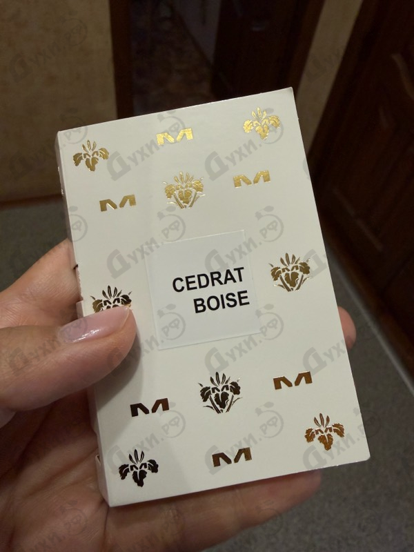 Купить Cedrat Boise от Mancera