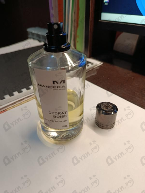 Купить Cedrat Boise от Mancera