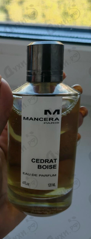 Купить Mancera Cedrat Boise