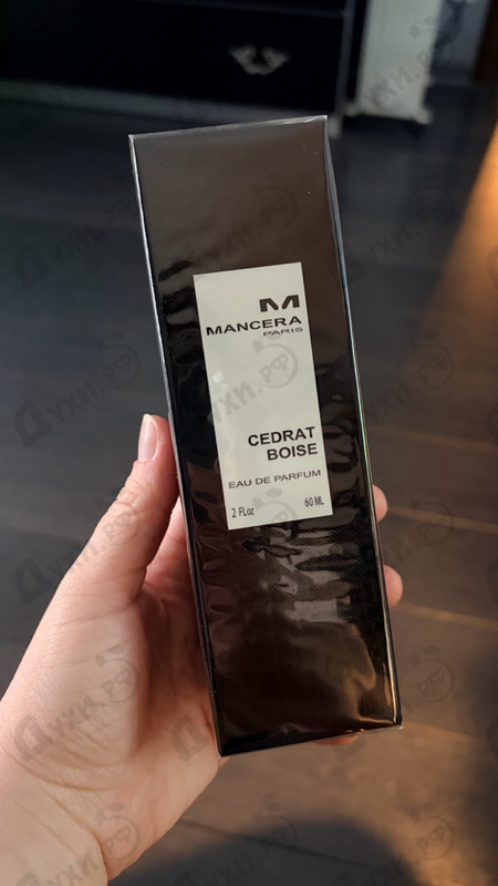 Купить Mancera Cedrat Boise