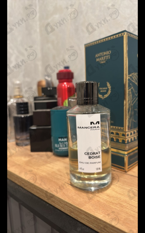 Купить Mancera Cedrat Boise