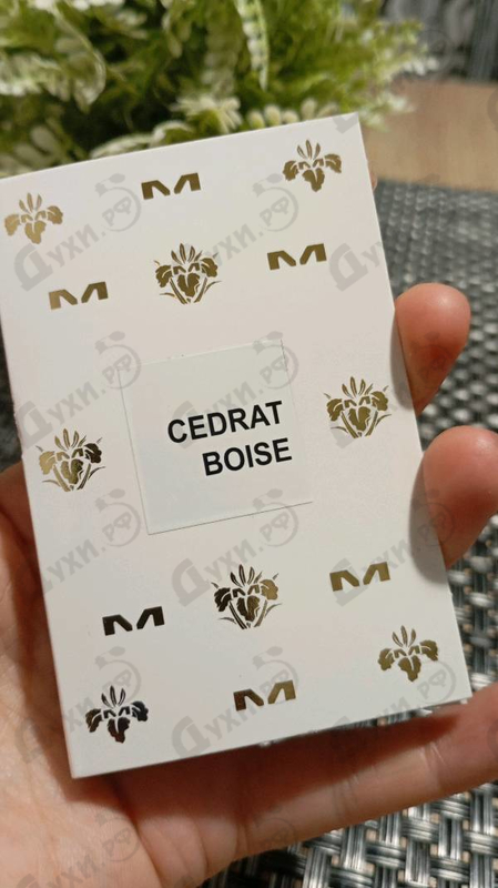 Отзывы Mancera Cedrat Boise