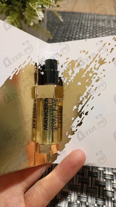 Купить Cedrat Boise от Mancera