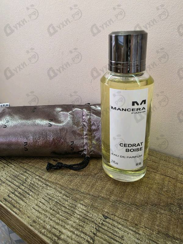 Купить Cedrat Boise от Mancera