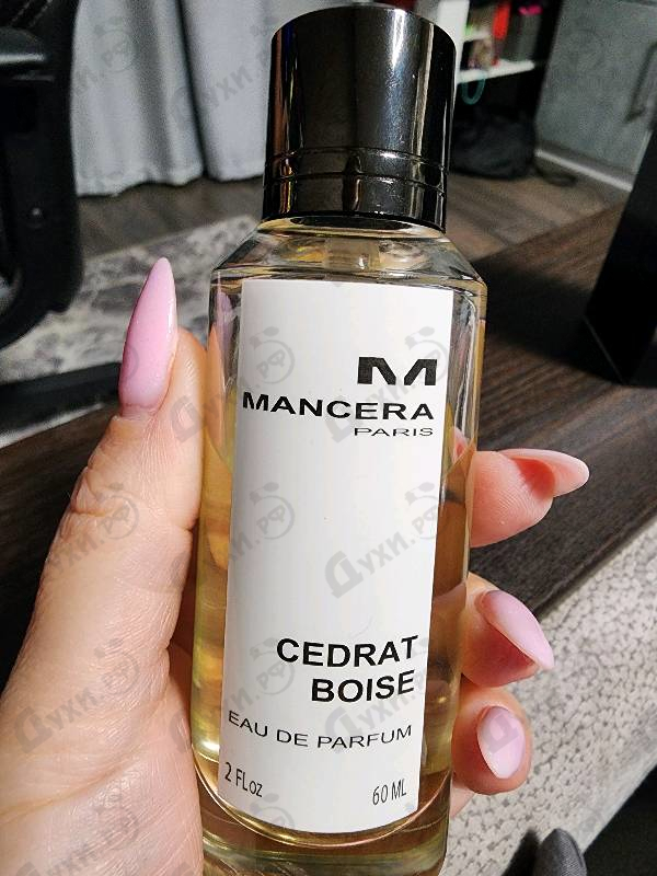 Купить Cedrat Boise от Mancera