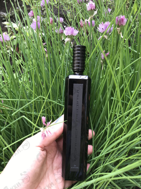 Купить Serge Lutens De Profundis Духи De Profundis от Serge Lutens