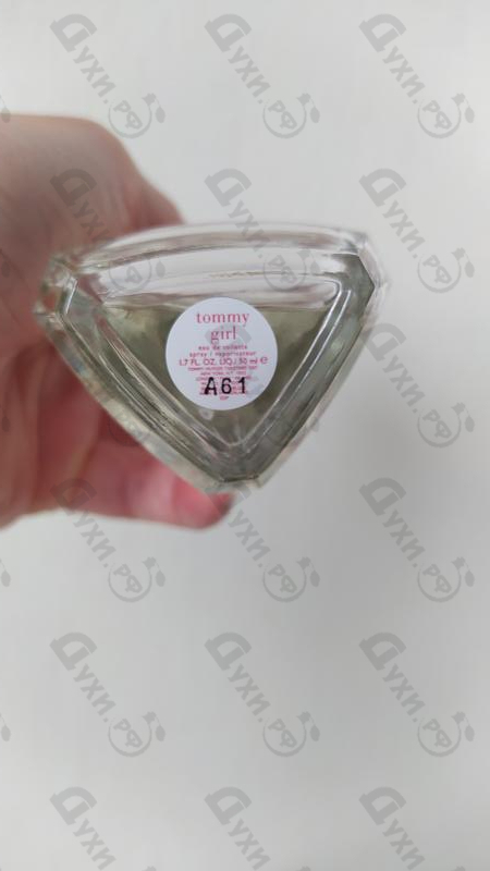 Купить Tommy Hilfiger Tommy Girl