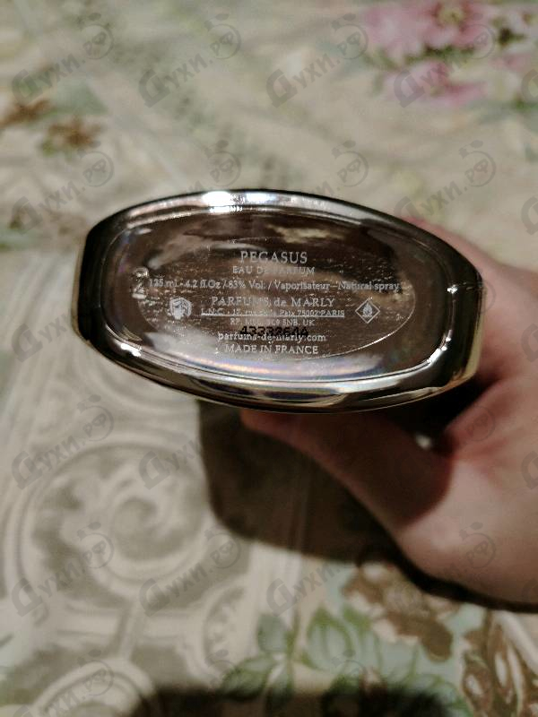 Отзывы Parfums de Marly Pegasus