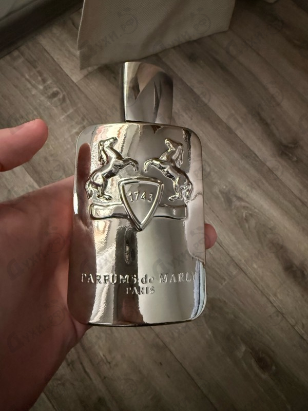 Купить Parfums de Marly Pegasus