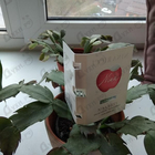 Отзыв Nina Ricci Nina