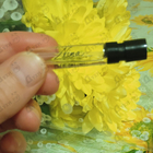 Отзыв Nina Ricci Nina