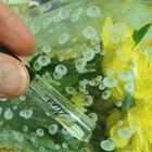 Духи Nina от Nina Ricci