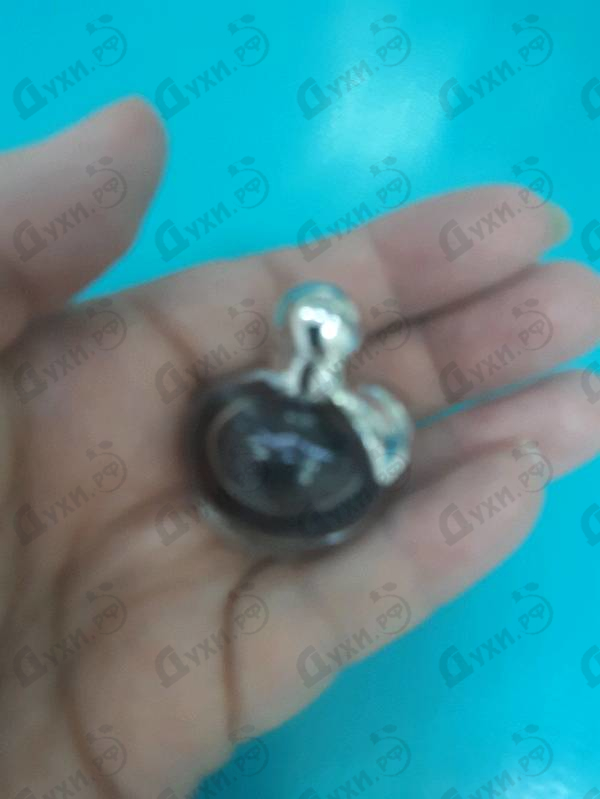 Купить Nina от Nina Ricci