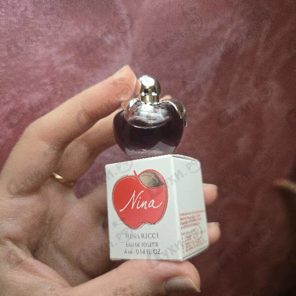 Парфюмерия Nina от Nina Ricci