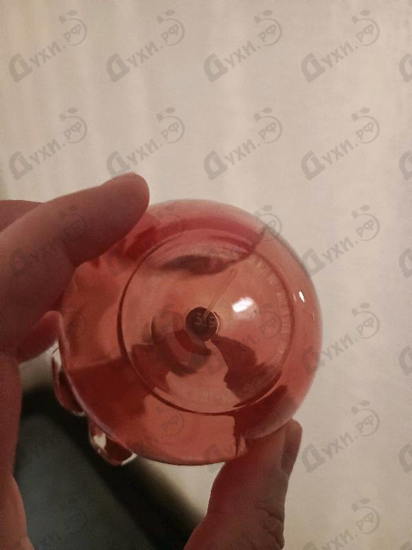 Парфюмерия Nina от Nina Ricci