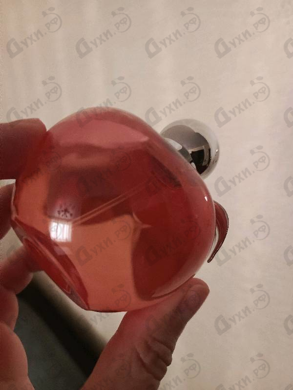 Купить Nina от Nina Ricci
