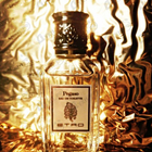 Отзыв Etro Pegaso