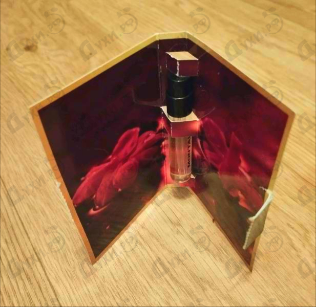 Духи Aoud Leather от Montale