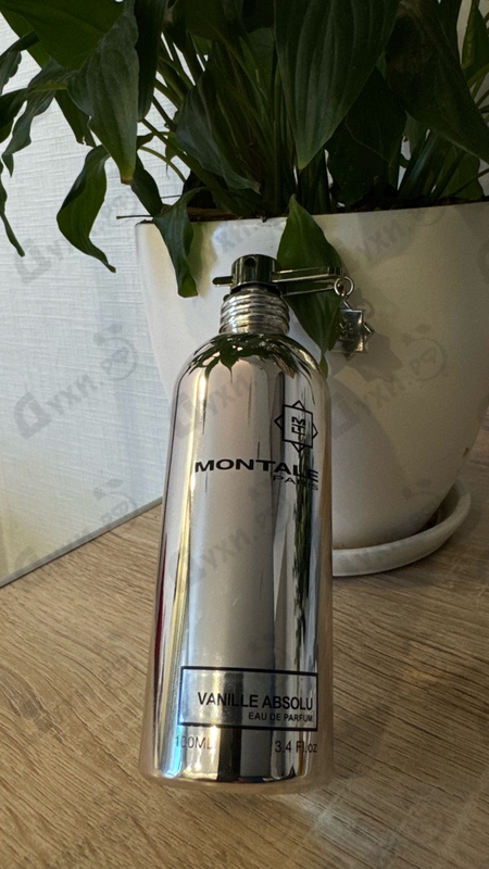 Купить Vanille Absolu от Montale