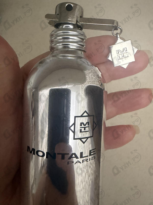 Купить Vanille Absolu от Montale