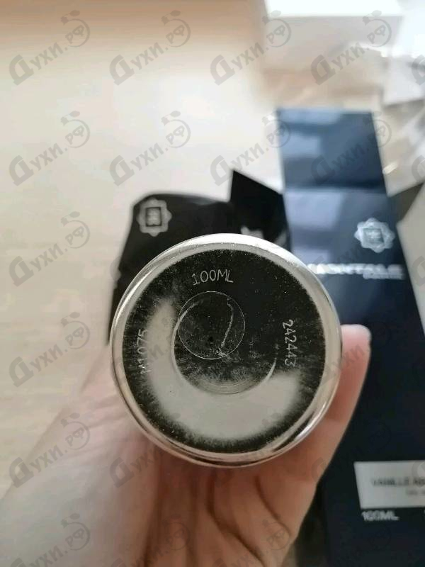 Парфюмерия Vanille Absolu от Montale