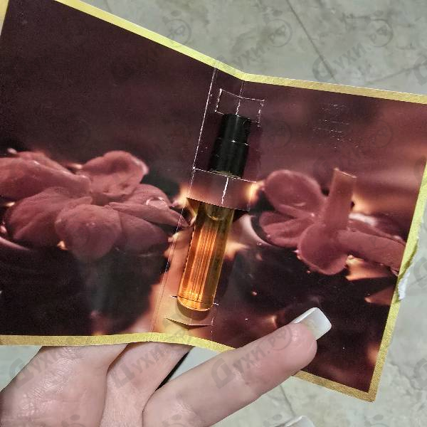 Парфюмерия Vanille Absolu от Montale