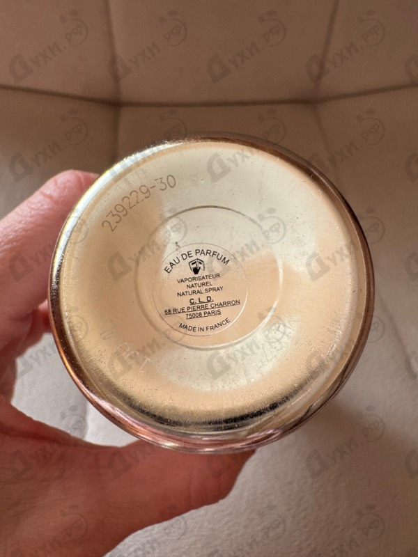 Купить Montale Vanille Absolu