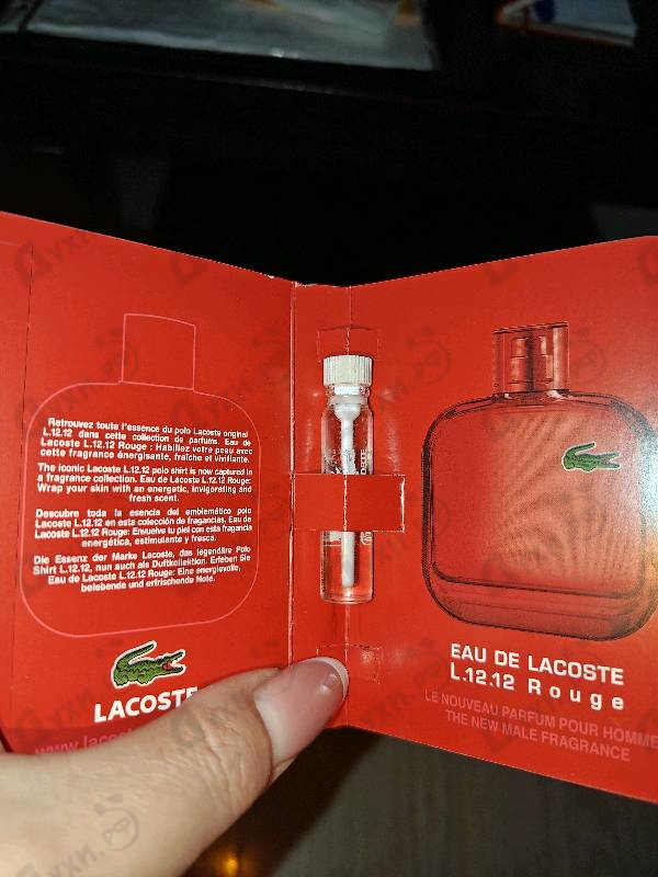 Отзывы Lacoste L.12.12 Rouge