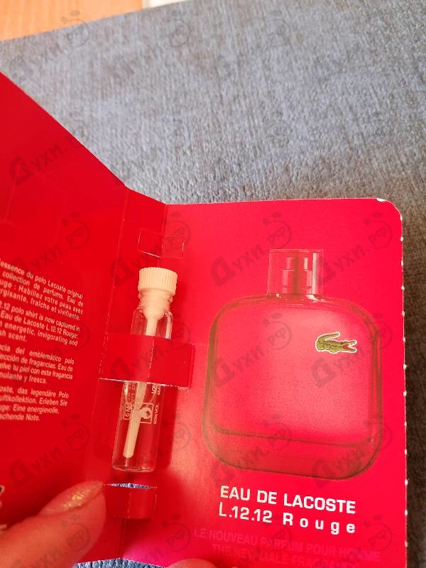 Отзывы Lacoste L.12.12 Rouge