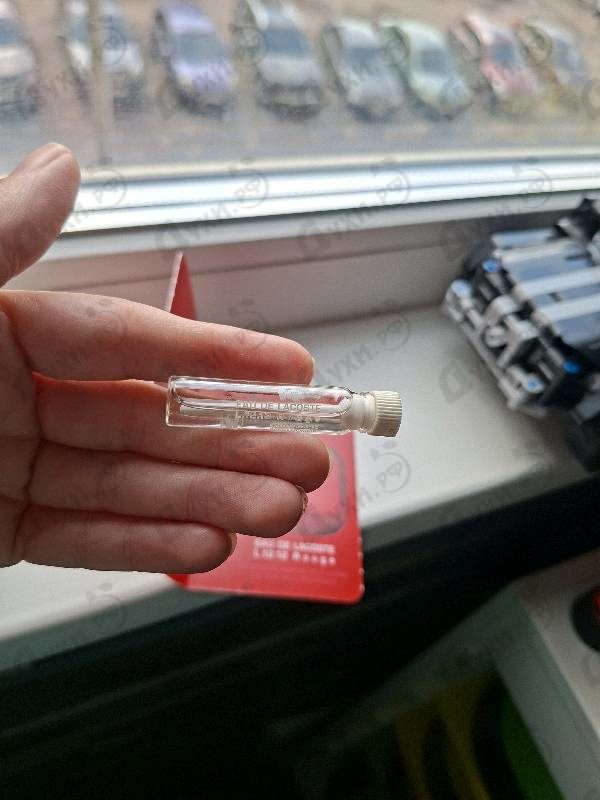 Купить L.12.12 Rouge от Lacoste