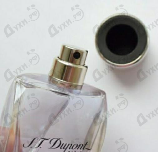 Духи 58 Avenue Montaigne от Dupont