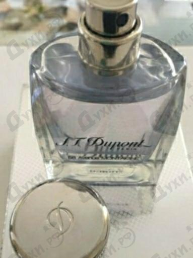 Купить 58 Avenue Montaigne от Dupont